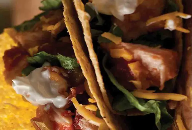 Canned Chicken Taco Recipes