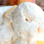 Rival Ice Cream Maker Recipes