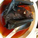Bat Soup Recipe