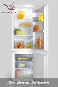 Best Propane Refrigerator