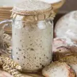Best Container for Sourdough Starter