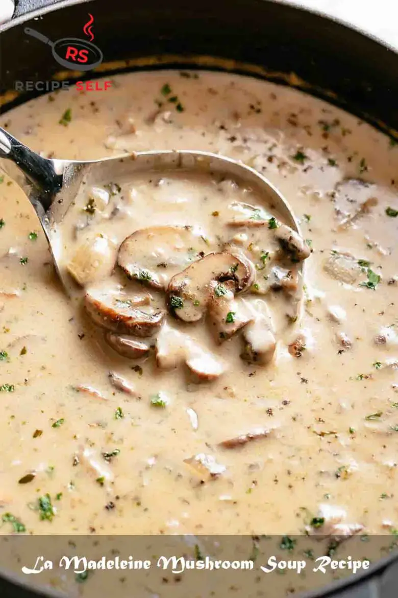 La Madeleine Mushroom Soup Recipe August 2024