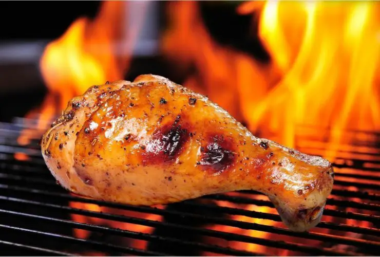 15 Delicious Grilled Chicken Recipes Your Family Will Love