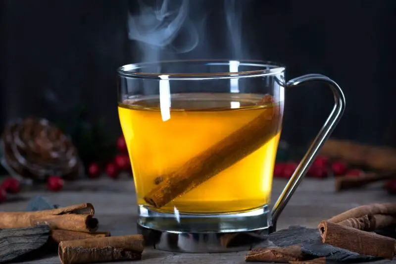 Hot Toddy