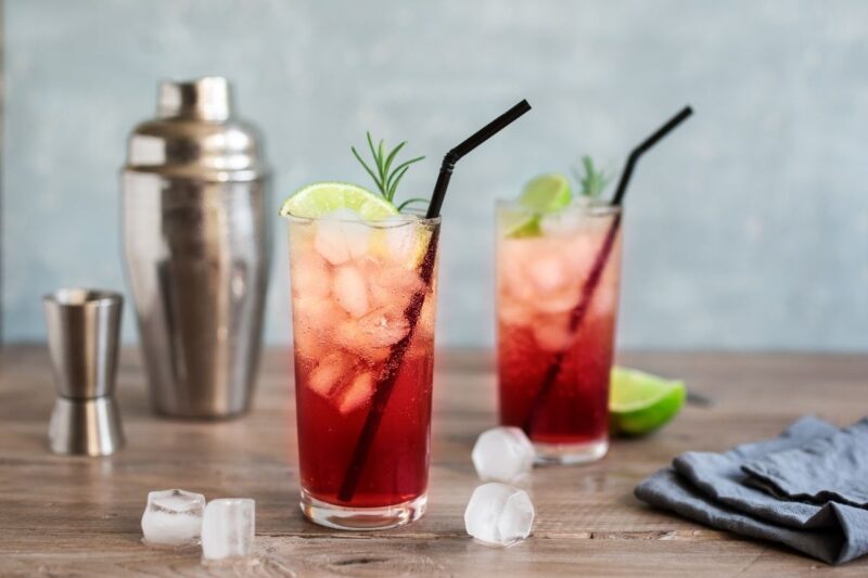 Sloe Gin Fizz