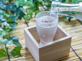 15 Smooth Sake Cocktail Recipes