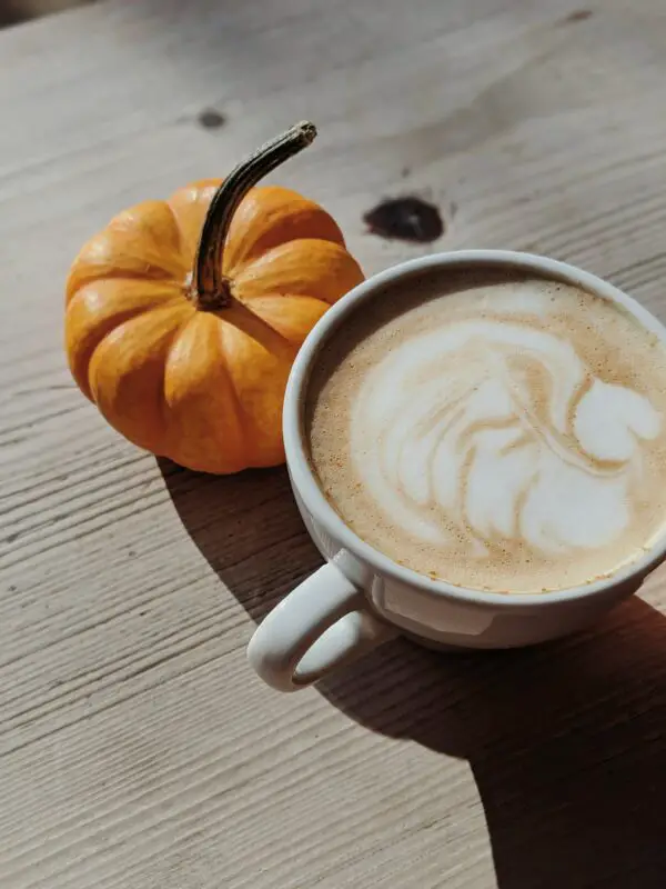 kachava recipe pumpkin spice protein latte
