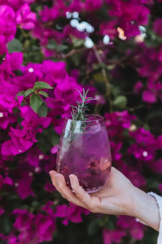 Purple Rain Drink Recipe